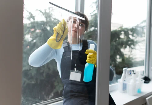 Nettoyage de vitres intérieures et extérieures à Maisod